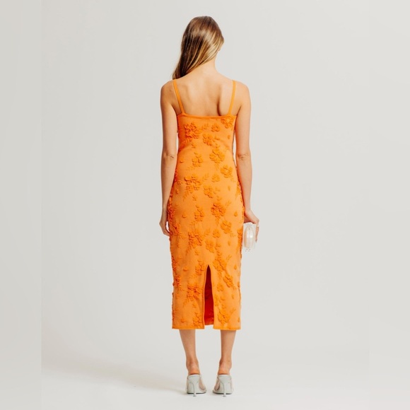 Torn By Ronny Kobo SARA DRESS in Terracotta - Picture 3 of 15